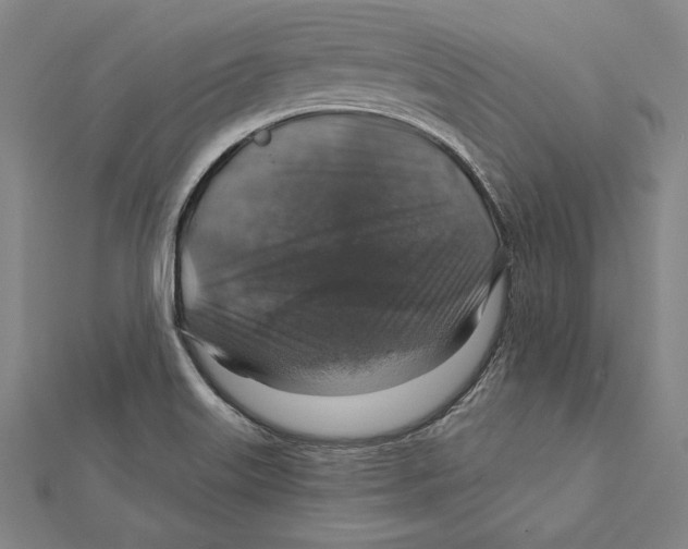 X0000112021515200908311144