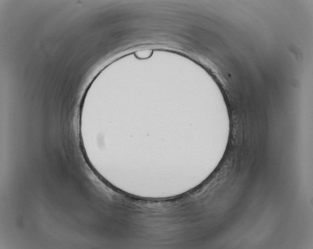 X0000112021516200908311144