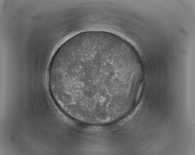 X0000112021517200908311144