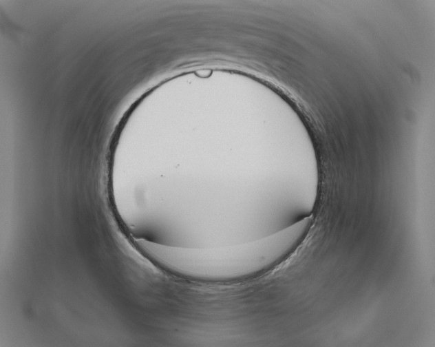 X0000112021518200908311144