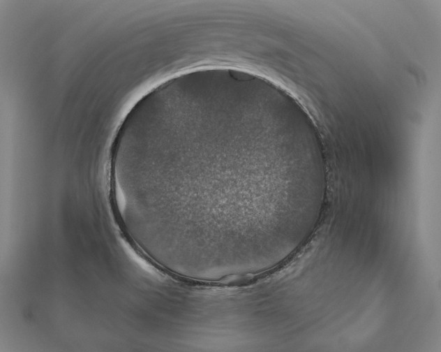 X0000112021519200908311144