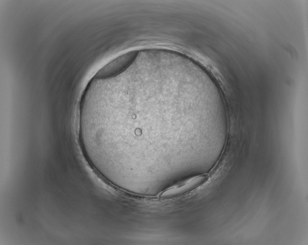 X0000112021520200908311144