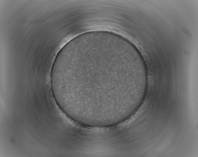 X0000112021521200908311144