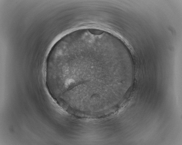 X0000112021522200908311144