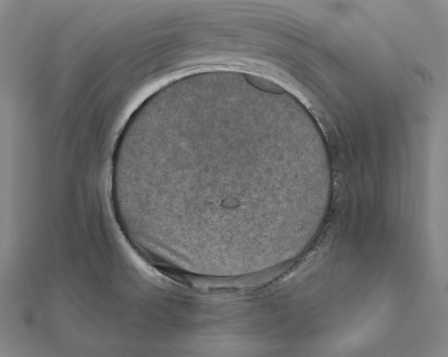 X0000112021523200908311144