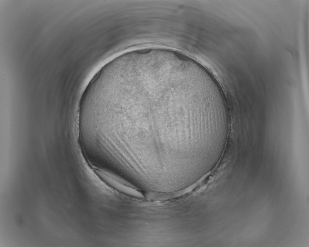 X0000112021524200908311144