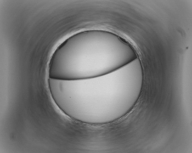 X0000112021528200908311144