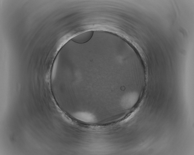 X0000112021529200908311144