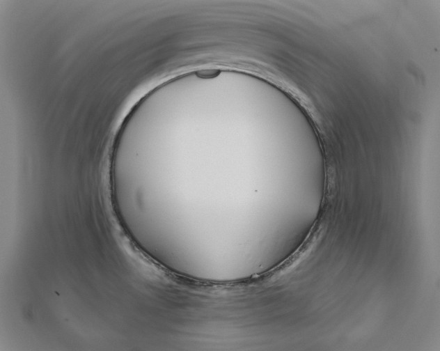 X0000112021530200908311144