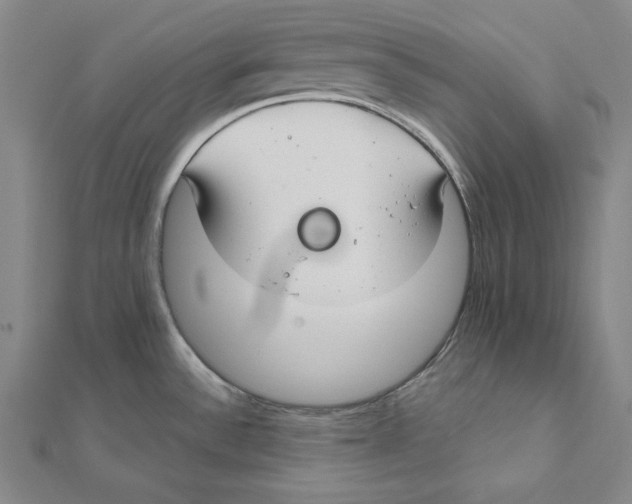 X0000112021532200908311144