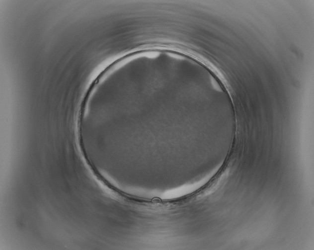 X0000112021533200908311144