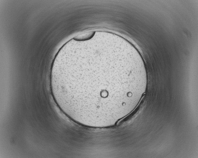 X0000112021534200908311144