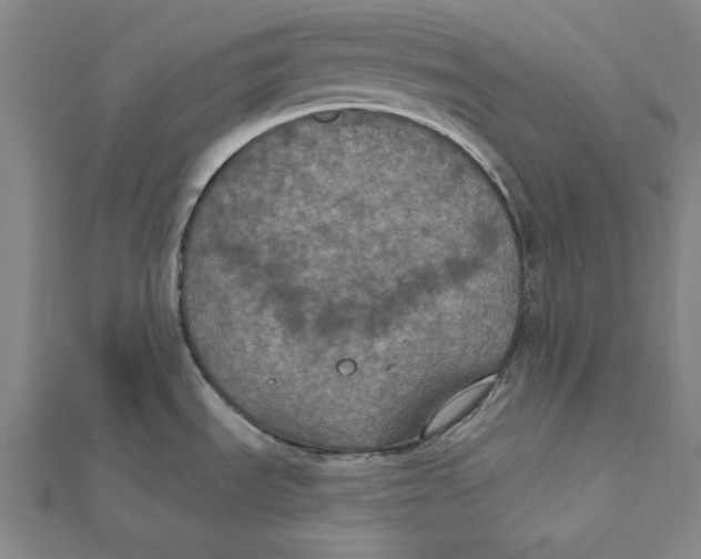 X0000112021535200908311144