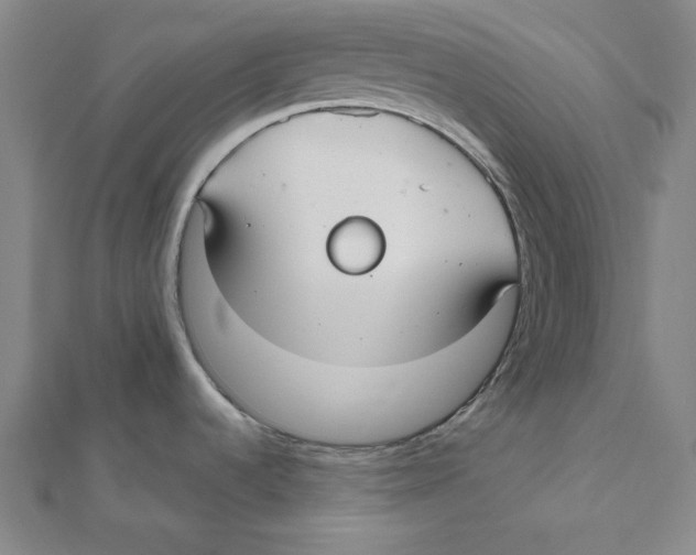 X0000112021536200908311144