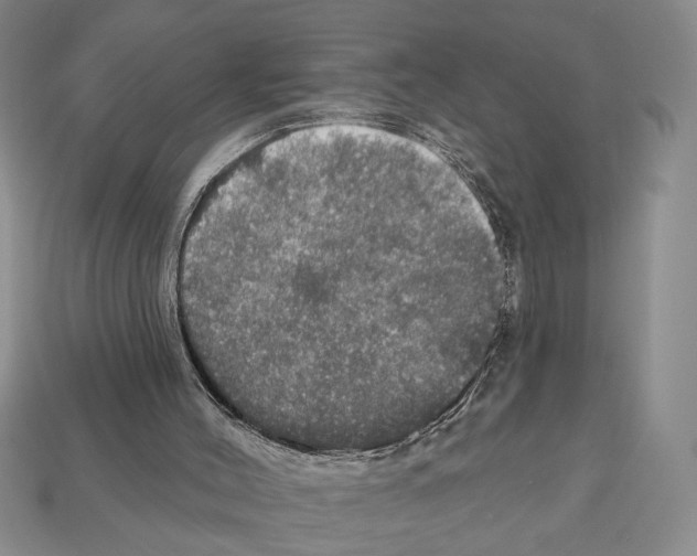 X0000112020004200909141045