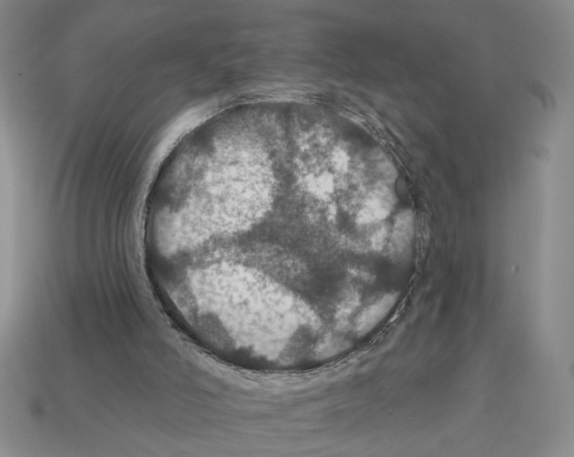 X0000112020006200909141045