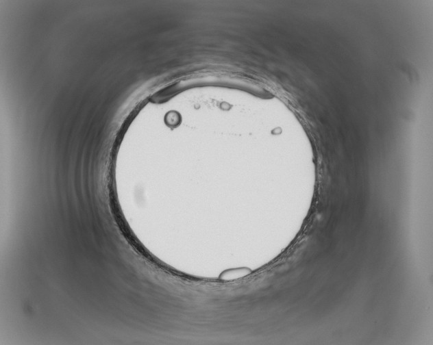 X0000112020007200909141045