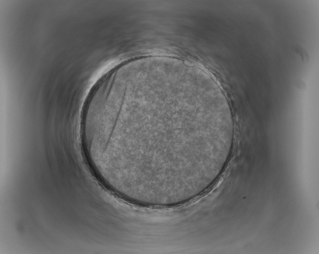 X0000112020008200909141045