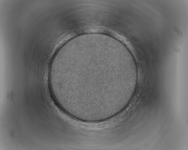 X0000112020010200909141045