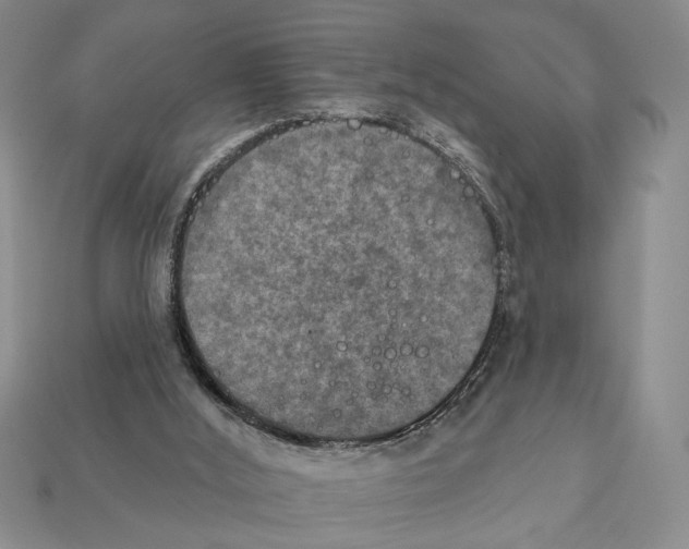 X0000112020012200909141045