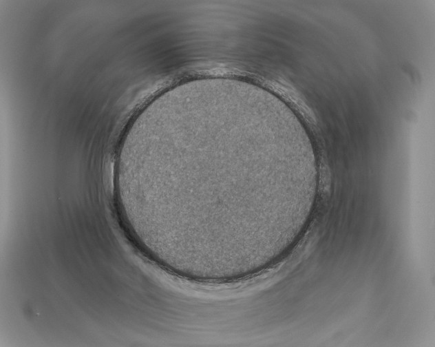 X0000112020014200909141045