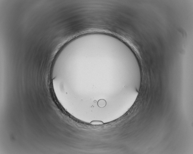 X0000112020015200909141045