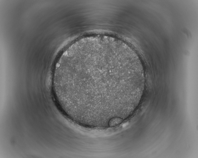 X0000112020016200909141045