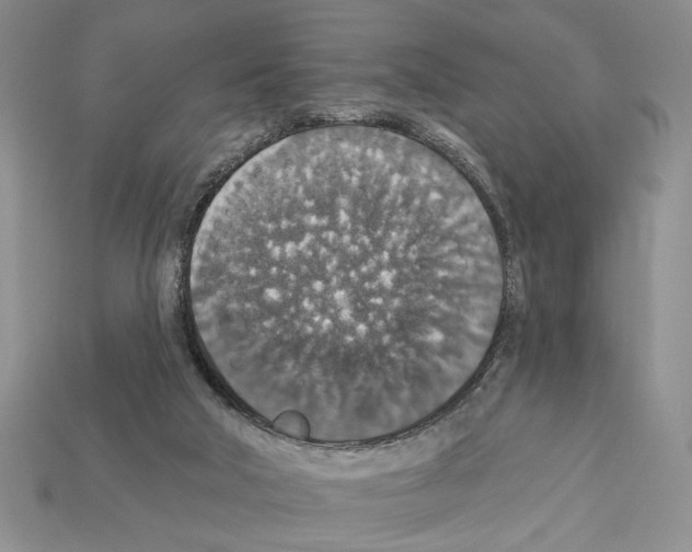 X0000112020018200909141045