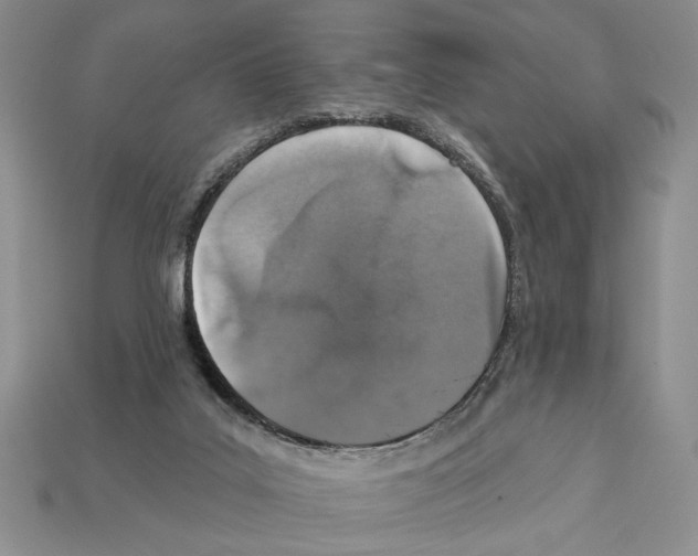 X0000112020019200909141045