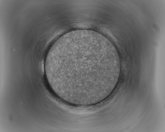 X0000112020020200909141045