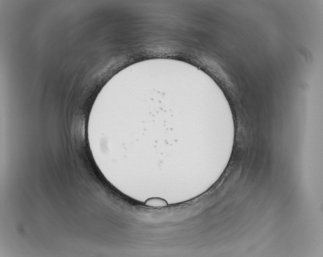 X0000112020021200909141045