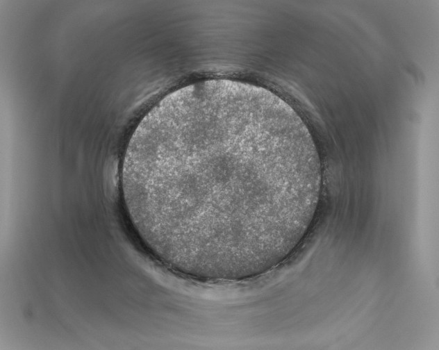 X0000112020024200909141045