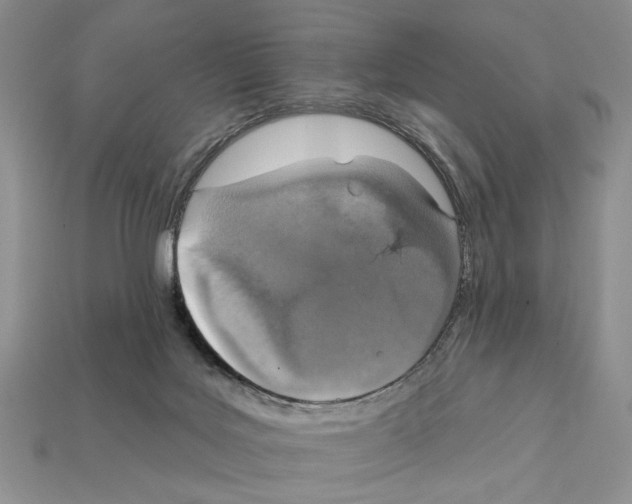 X0000112020027200909141045