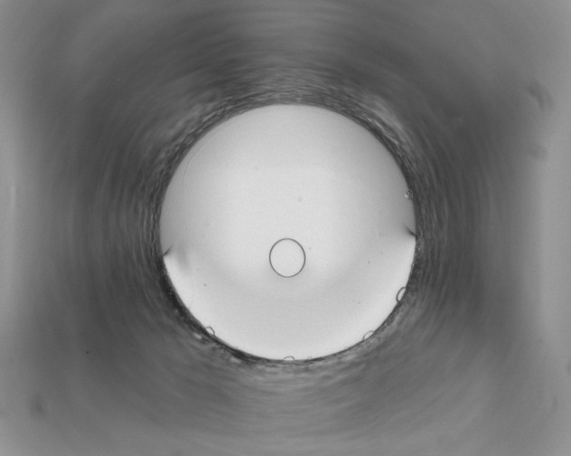 X0000112020029200909141045