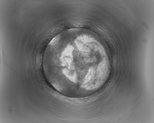 X0000112020030200909141045