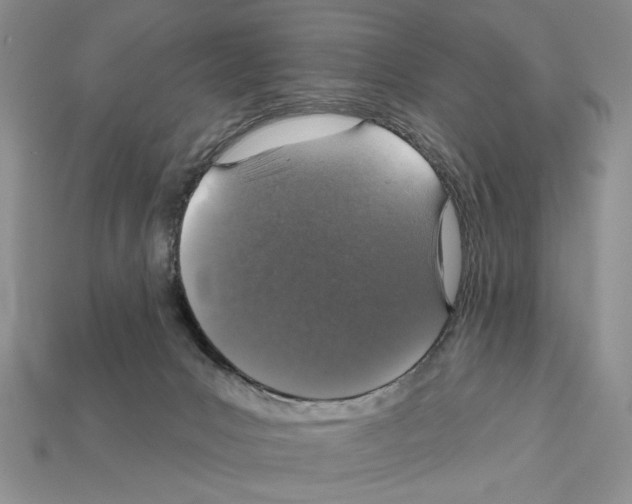 X0000112020031200909141045