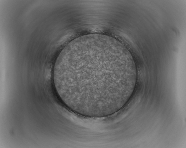 X0000112020032200909141045