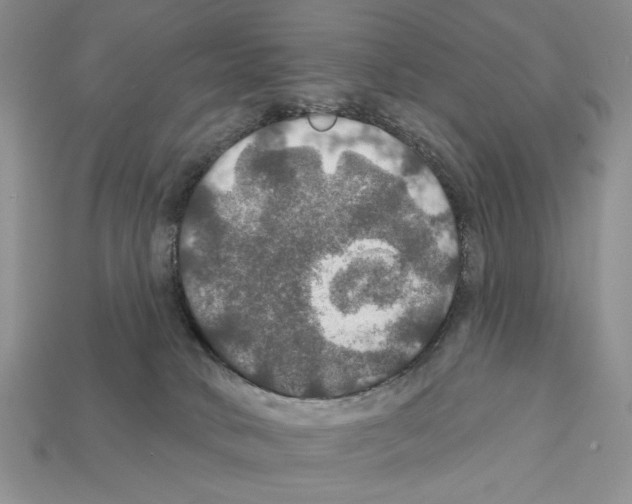 X0000112020034200909141045