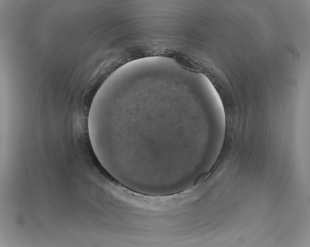 X0000112020035200909141045