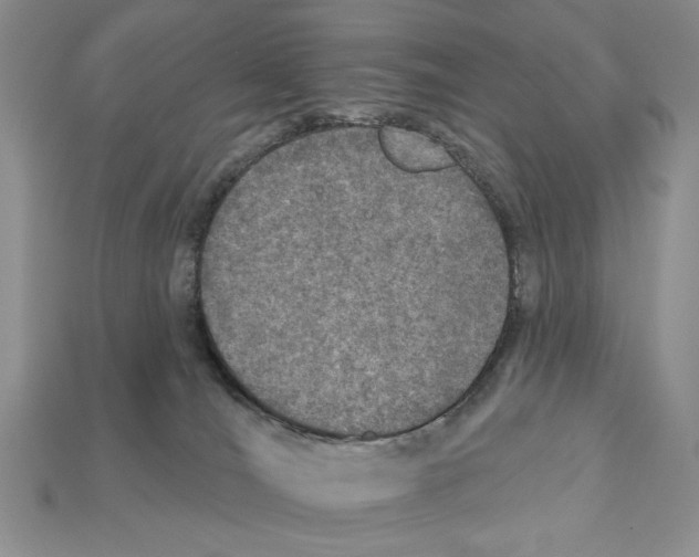 X0000112020036200909141045