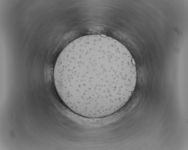 X0000112020038200909141045