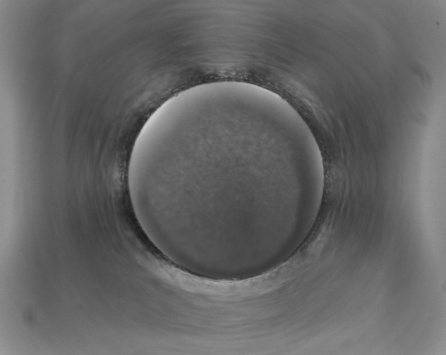 X0000112020039200909141045