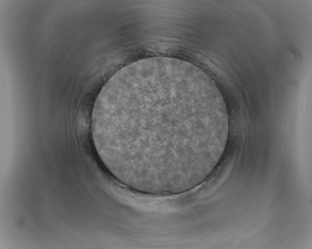 X0000112020040200909141045