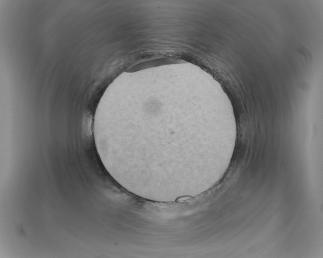 X0000112020041200909141045