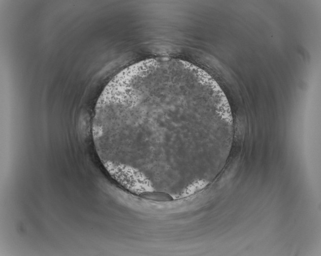 X0000112020043200909141045