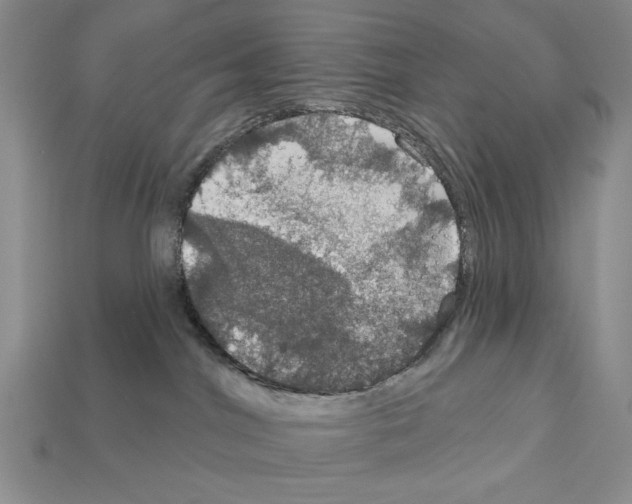 X0000112020044200909141045