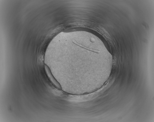 X0000112020045200909141045