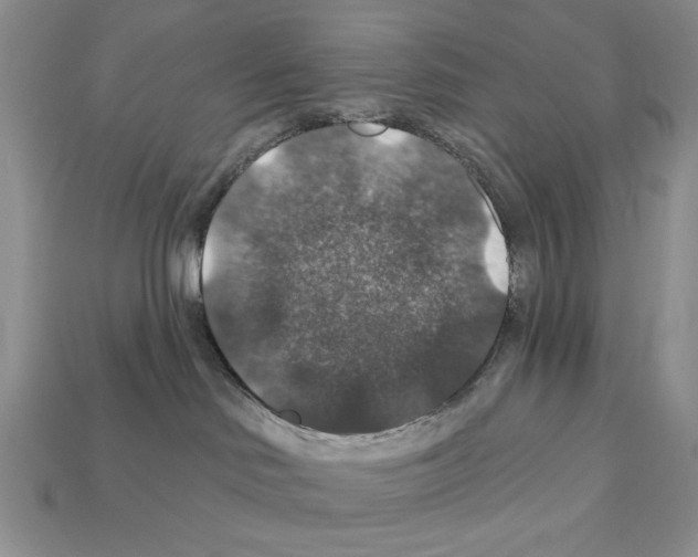 X0000112020046200909141045