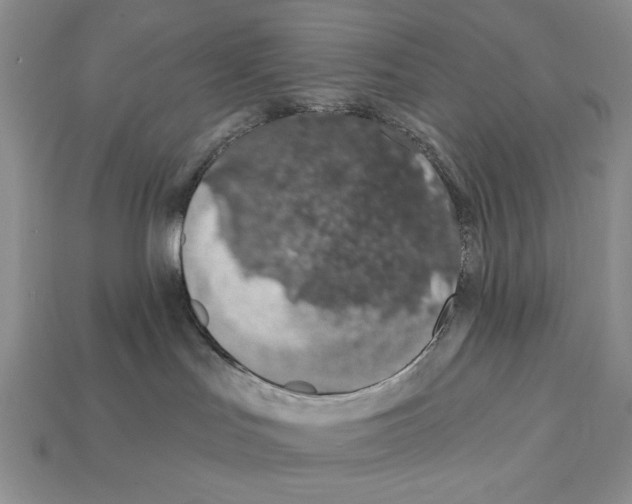 X0000112020047200909141045