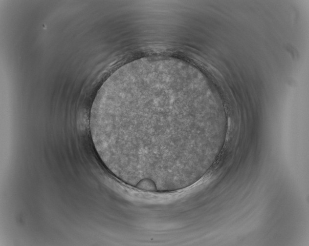 X0000112020048200909141045